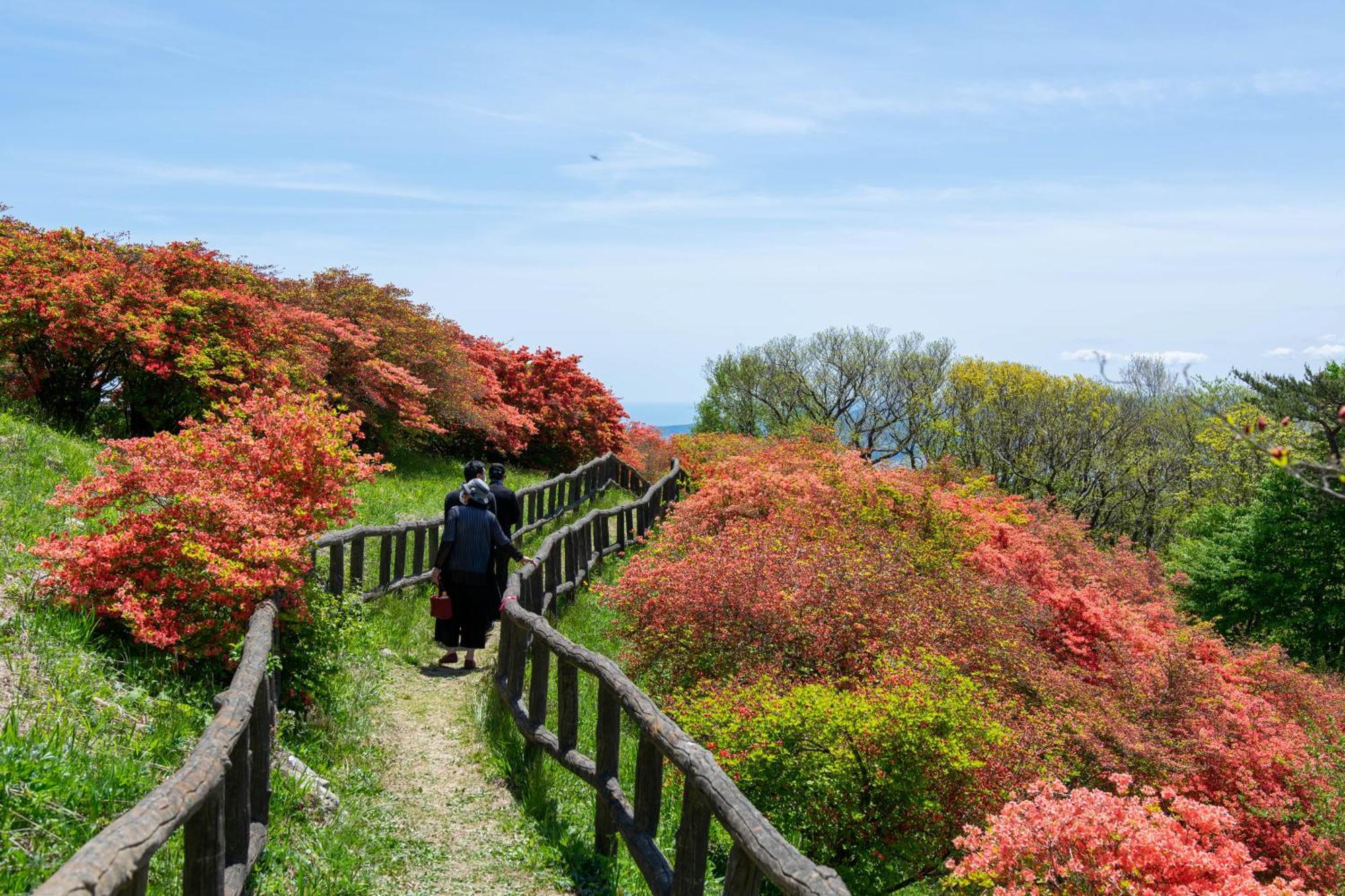 Minami Sanriku Hotel Kanyo Shizugawa Екстериор снимка